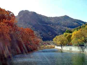 新澳天天开奖资料大全旅游团，嫁衣的背景故事图片